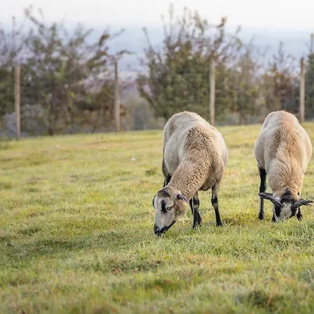 Lejlighed A La Campagne Fiennes