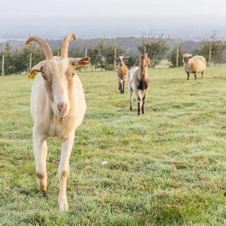 A La Campagne Fiennes